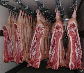 Полутуши II категории