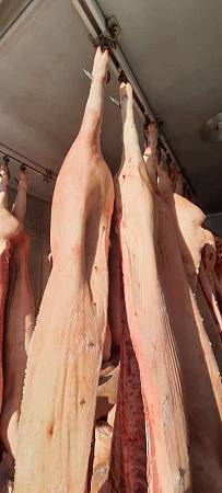 Свинина полутуши II категории