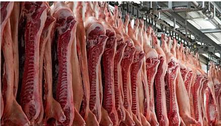 Свинина полутуши II категории